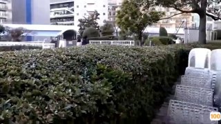 《祥康快车撞大树》完整版免费在线观看-电视剧